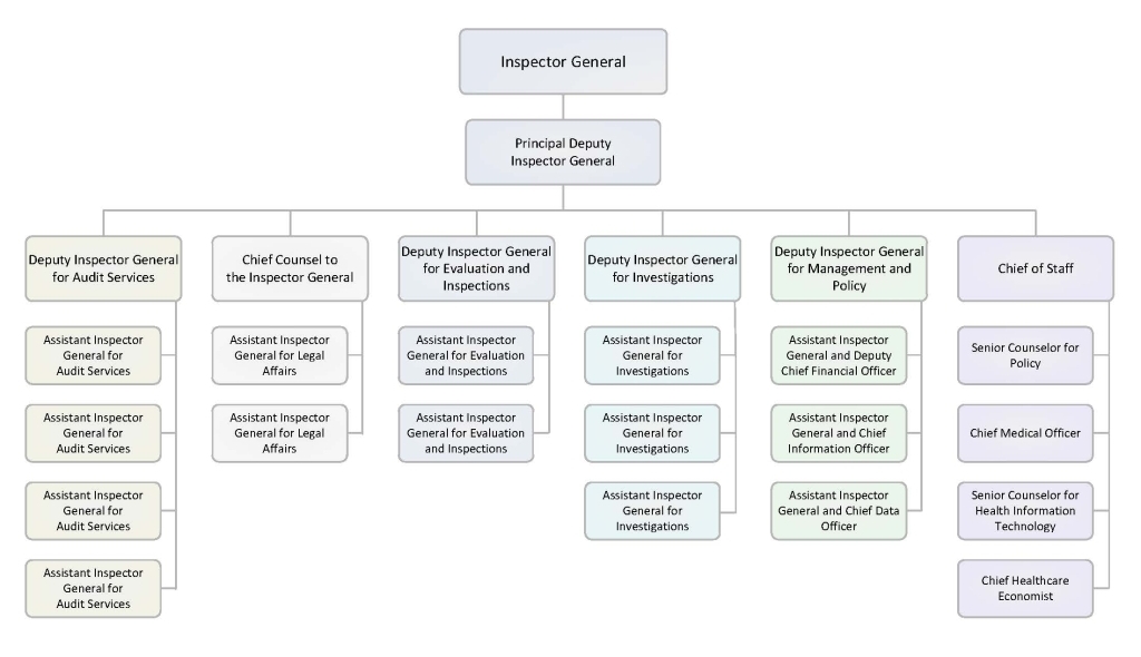 Organizational Chart Of Medical Technology