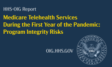 Medicare Telehealth Services During the First Year of the Pandemic: Program Integrity Risks
